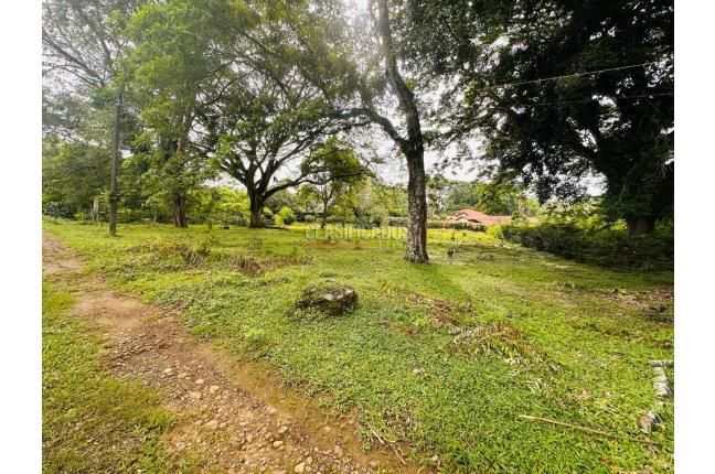 Lotes, Venta, Pance - $1.300.000.000