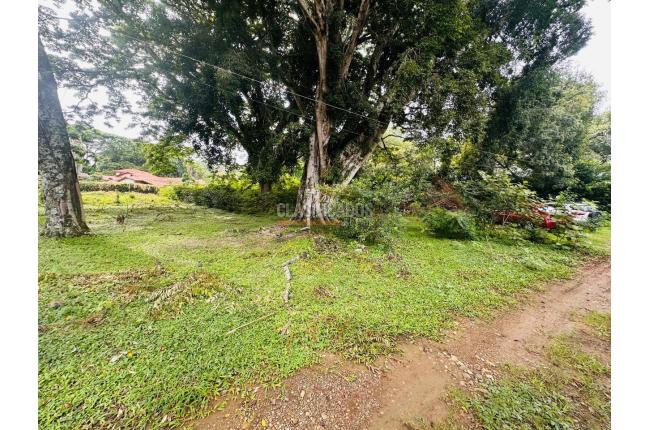 Lotes, Venta, Pance - $1.300.000.000