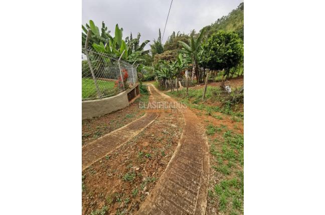 Fincas y Casas Campestres, Venta, Dagua - $295.000.000