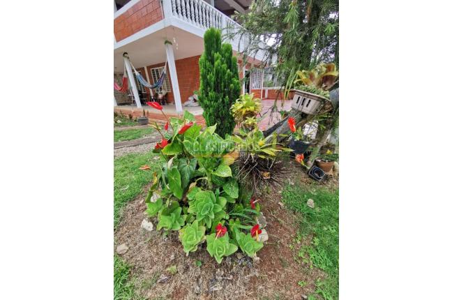 Fincas y Casas Campestres, Venta, Dagua - $295.000.000