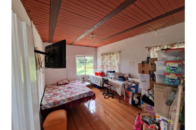 Fincas y Casas Campestres, Venta, Dagua - $550.000.000