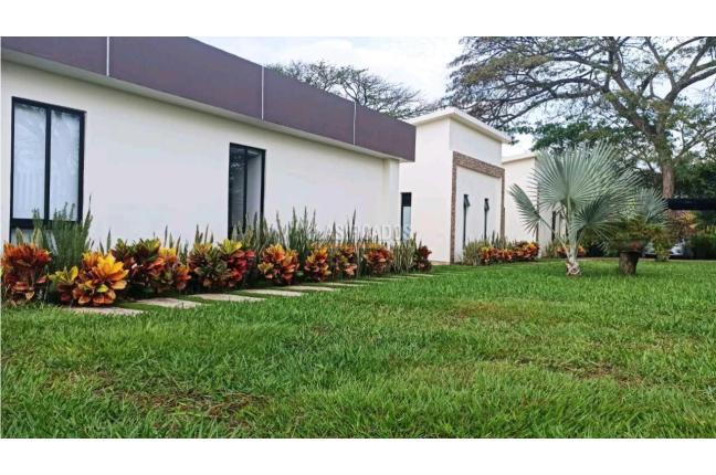 Casas, Venta, Palmira - $1.250.000.000