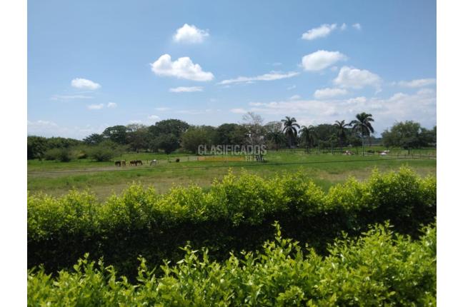 Fincas y Casas Campestres, Venta, Palmira - $1.300.000.000