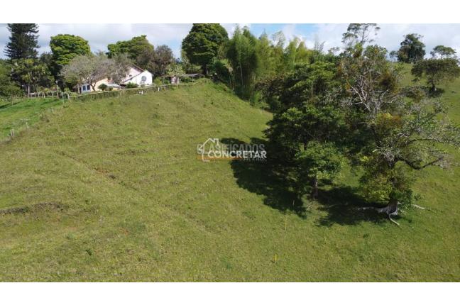 Lotes, Venta, Dagua - $225.000.000