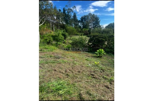 Lotes, Venta en Villacarmelo