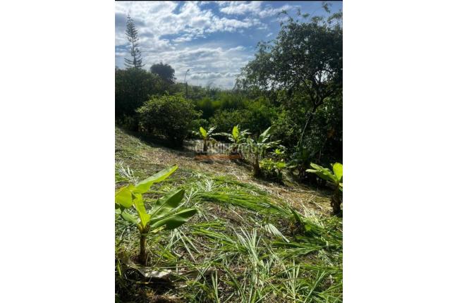 Lotes, Venta, Villacarmelo - $370.000.000