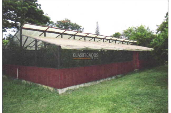 Casas, Venta, Pance - $5.700.000.000
