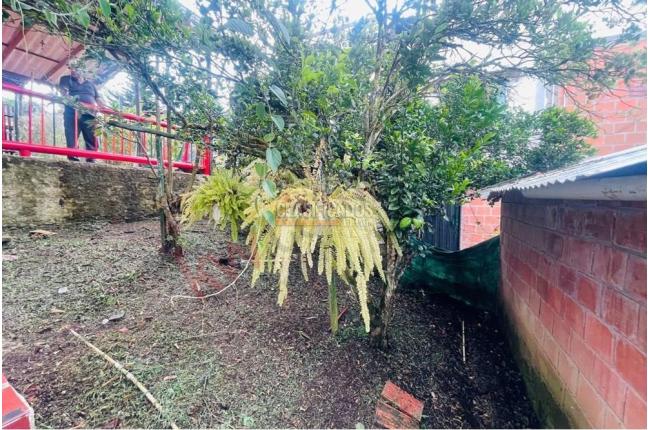 Fincas y Casas Campestres, Venta, Dagua - $440.000.000