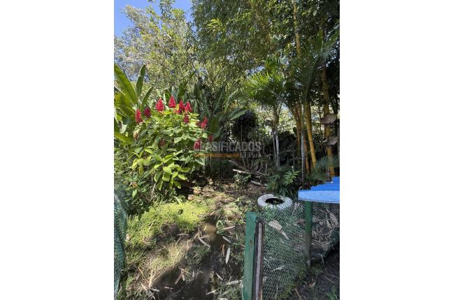 Casas, Venta, Pance - $3.500.000.000