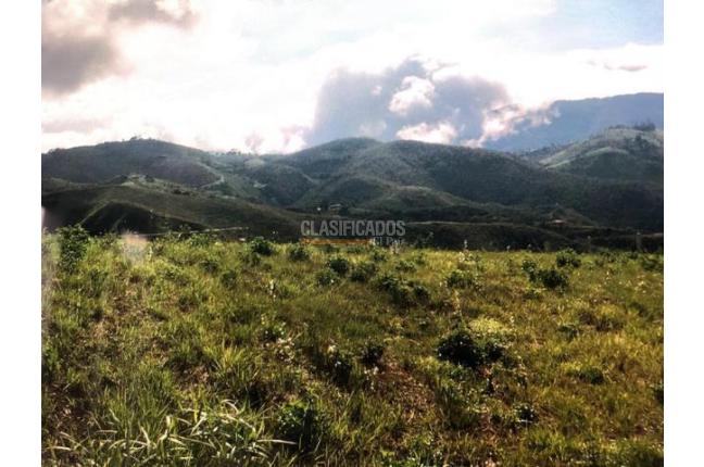 Lotes, Venta en Dagua