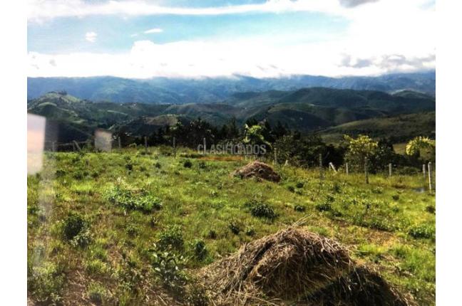 Lotes, Venta en Dagua