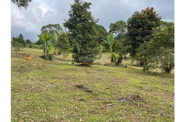 Lotes, Venta, Dagua - $290.000.000