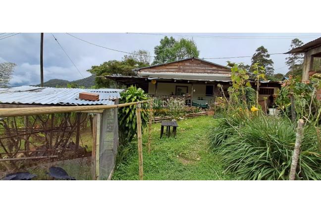 Fincas y Casas Campestres, Venta, Dagua - $330.000.000