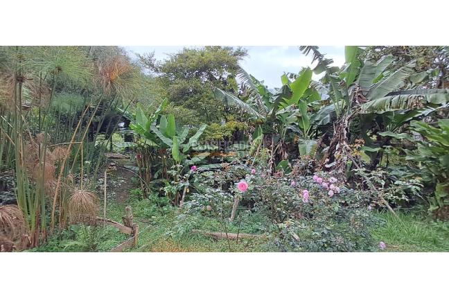 Fincas y Casas Campestres, Venta, Dagua - $330.000.000