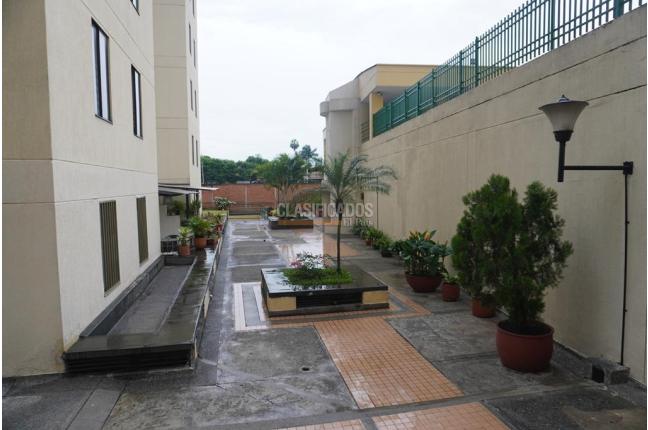 Apartamentos, Venta, Prados del Norte - $350.000.000