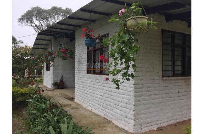 Fincas y Casas Campestres, Venta en Yumbo