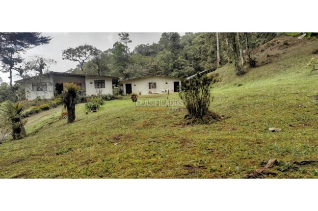 Fincas y Casas Campestres, Venta en Yumbo