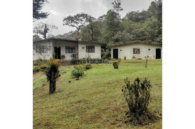 Fincas y Casas Campestres, Venta, Yumbo - $700.000.000