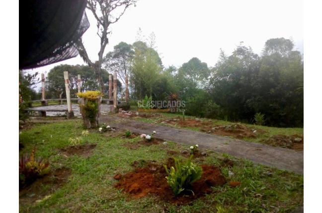 Fincas y Casas Campestres, Venta, Yumbo - $700.000.000