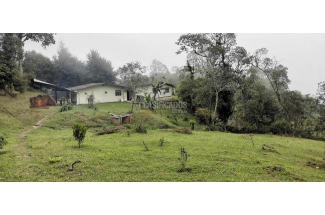 Fincas y Casas Campestres, Venta, Yumbo - $700.000.000