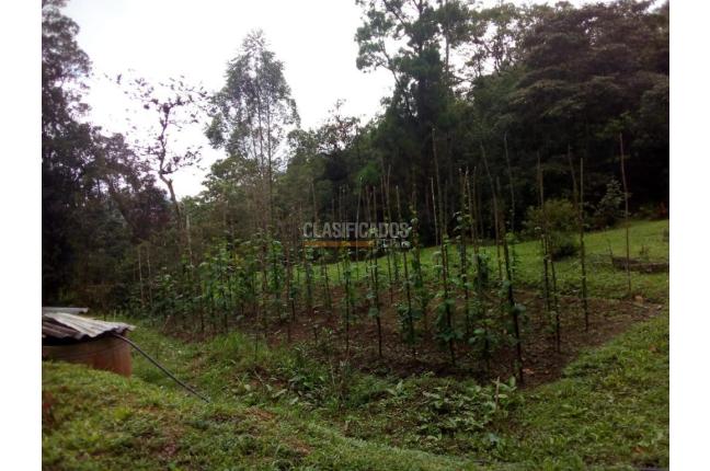 Fincas y Casas Campestres, Venta, Yumbo - $700.000.000