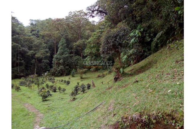 Fincas y Casas Campestres, Venta, Yumbo - $700.000.000