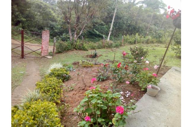 Fincas y Casas Campestres, Venta, Yumbo - $700.000.000