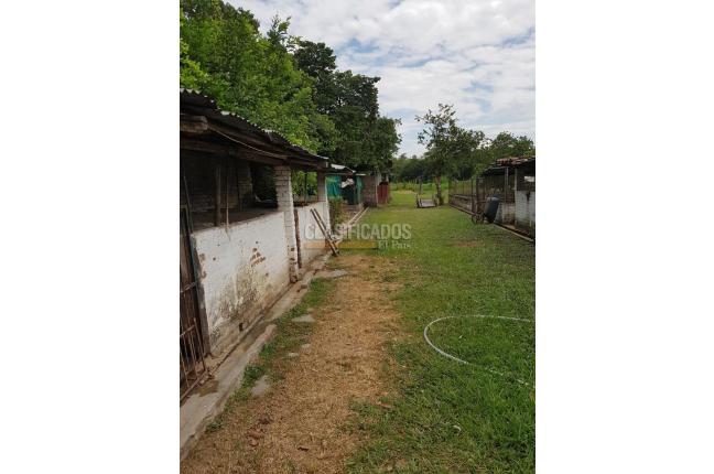 Fincas y Casas Campestres, Venta, Candelaria - $1.300.000.000