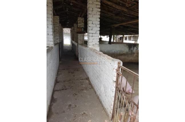 Fincas y Casas Campestres, Venta, Candelaria - $1.300.000.000