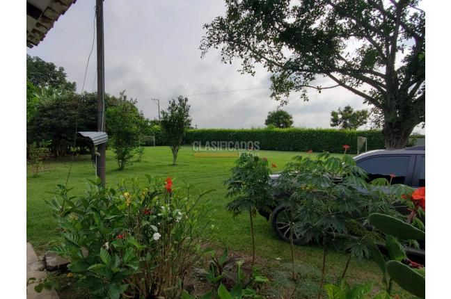 Fincas y Casas Campestres, Venta, Candelaria - $1.300.000.000