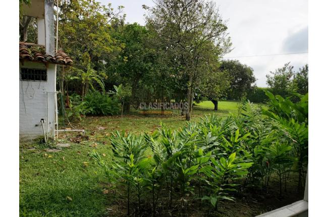 Fincas y Casas Campestres, Venta, Candelaria - $1.300.000.000