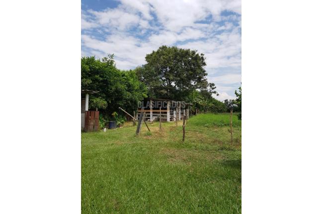 Fincas y Casas Campestres, Venta, Candelaria - $1.300.000.000