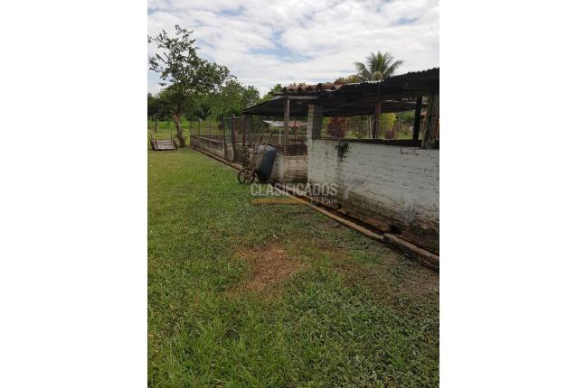 Fincas y Casas Campestres, Venta, Candelaria - $1.300.000.000