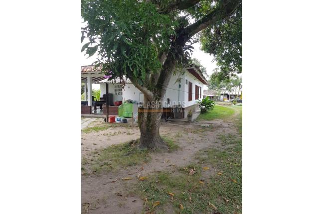 Fincas y Casas Campestres, Venta, Candelaria - $1.300.000.000