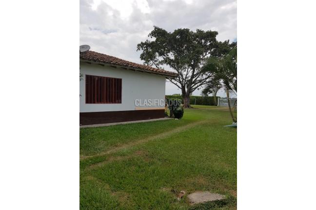 Fincas y Casas Campestres, Venta, Candelaria - $1.300.000.000