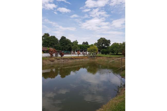 Fincas y Casas Campestres, Venta, Candelaria - $1.300.000.000