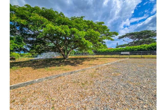 Lotes, Venta en Palmira