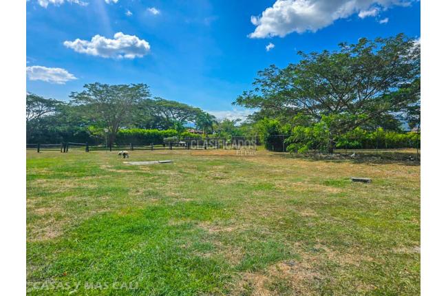 Lotes, Venta, Palmira - $1.790.000.000