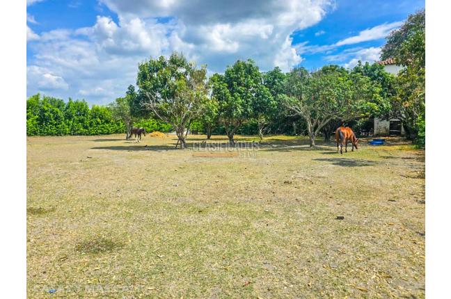 Fincas y Casas Campestres, Venta, Palmira - $3.290.000.000