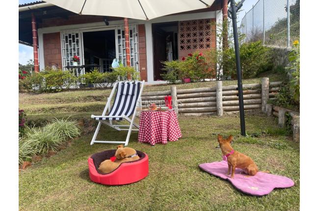 Fincas y Casas Campestres, Venta, La Cumbre - $450.000.000