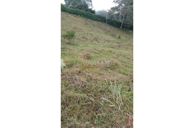 Lotes, Venta, Dagua - $427.000.000