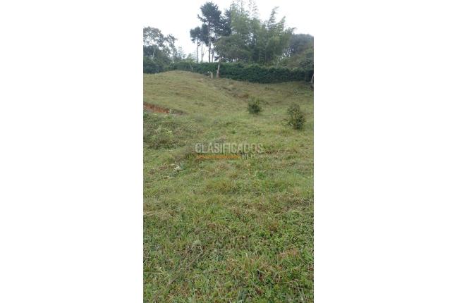 Lotes, Venta, Dagua - $427.000.000