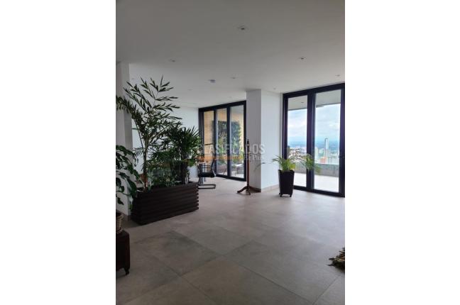 Apartamentos, Alquiler en Bellavista