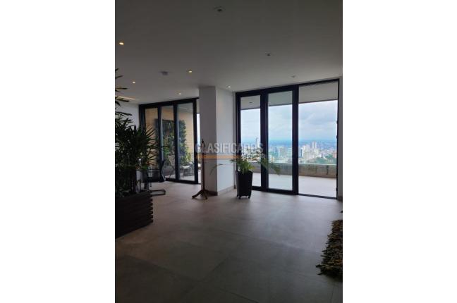 Apartamentos, Alquiler en Bellavista