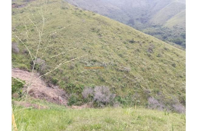 Lotes, Venta, Golondrinas - $6.000.000.000