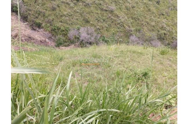 Lotes, Venta, Golondrinas - $6.000.000.000