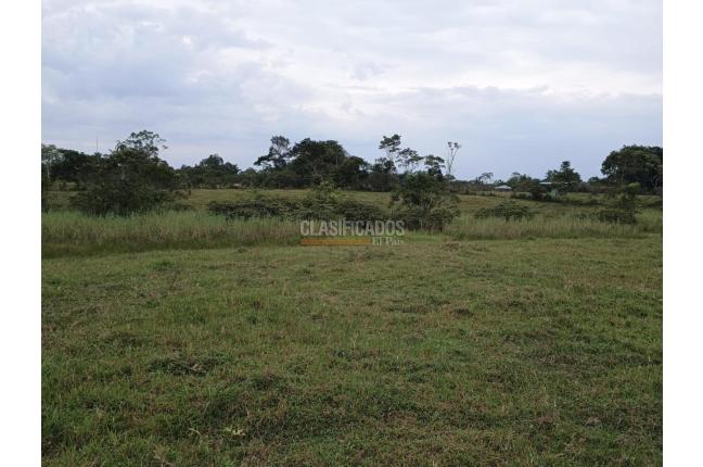 Fincas y Casas Campestres, Venta en Puerto Asis