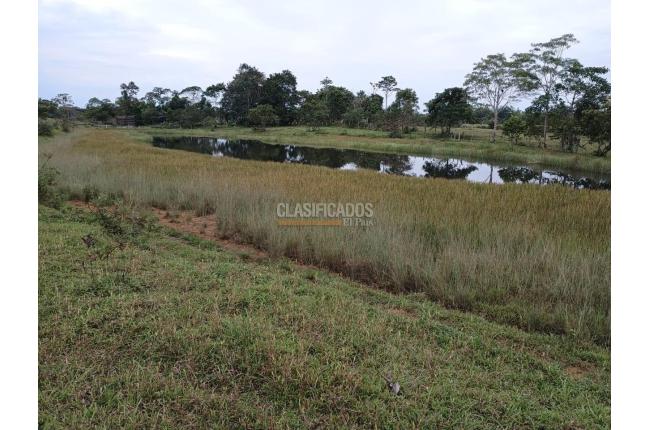 Fincas y Casas Campestres, Venta en Puerto Asis