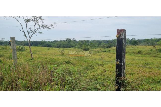 Fincas y Casas Campestres, Venta, Puerto Asis - $15.000.000.000