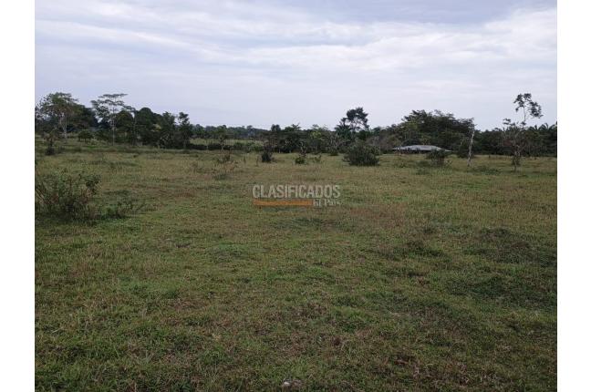 Fincas y Casas Campestres, Venta, Puerto Asis - $15.000.000.000